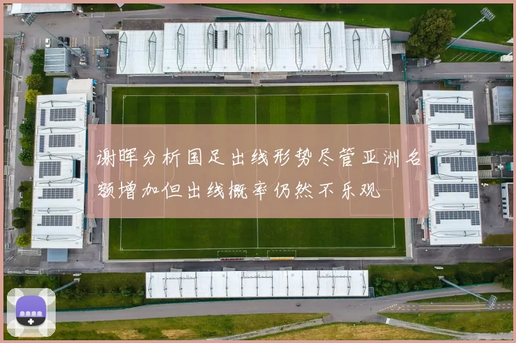 谢晖分析国足出线形势尽管亚洲名额增加但出线概率仍然不乐观